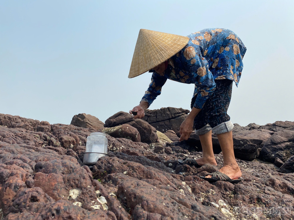Mỗi nhát đục đòi hỏi sự dứt khoát nhưng chuẩn xác, chỉ cần trật tay, những mảnh vỏ hàu sắc như dao có thể cứa rách bàn tay. Ảnh: Kim Long. clo_br_01.jpg