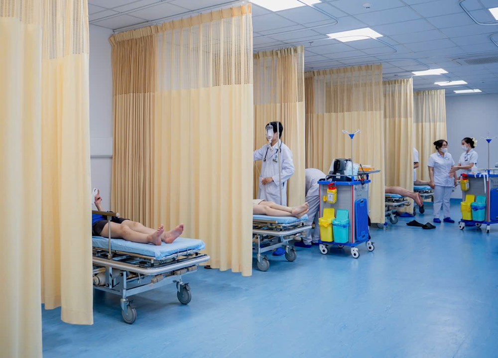 Kịp thời xử trí 8 ca bị ong vò vẽ đốt, bác sĩ khuyến cáo không chủ quan - ảnh 1