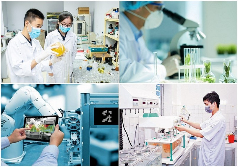 Ban hành Danh mục dịch vụ sự nghiệp công sử dụng ngân sách nhà nước trong lĩnh vực khoa học và công nghệ. Ảnh minh họa - VGP khcn-17065005105771059246236.jpg