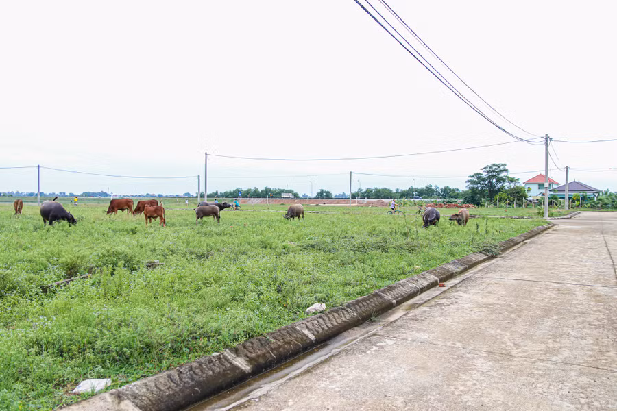 Khu tái định cư cho người dân vùng lũ Hòa Lam. (Ảnh: Phạm Tâm) tai-dinh-cu-nghe-an-anh4.jpg