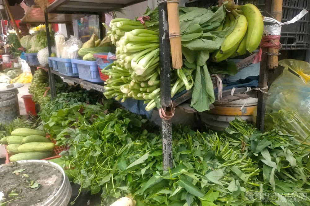 Các loại rau khác cũng tăng giá đáng kể. Rau xà lách Đà Lạt trước có giá 20.000 đồng/kg, hiện tăng lên 40.000 đồng/kg. Rau răm từ 1.000 đồng/bó nhỏ tăng lên 3.000 đồng/bó nhỏ. Hành khô từ 30.000 đồng/kg tăng lên 60.000 đồng/kg. Hành lá từ 30.000 đồng/kg tăng lên 50.000 đồng/kg. Rau cải bắp, bí đao… đều tăng gấp đôi so với nửa tháng trước. clo_br_z8246654159023-7c5e041ea5ad0587db9451ed6b11d090.jpg