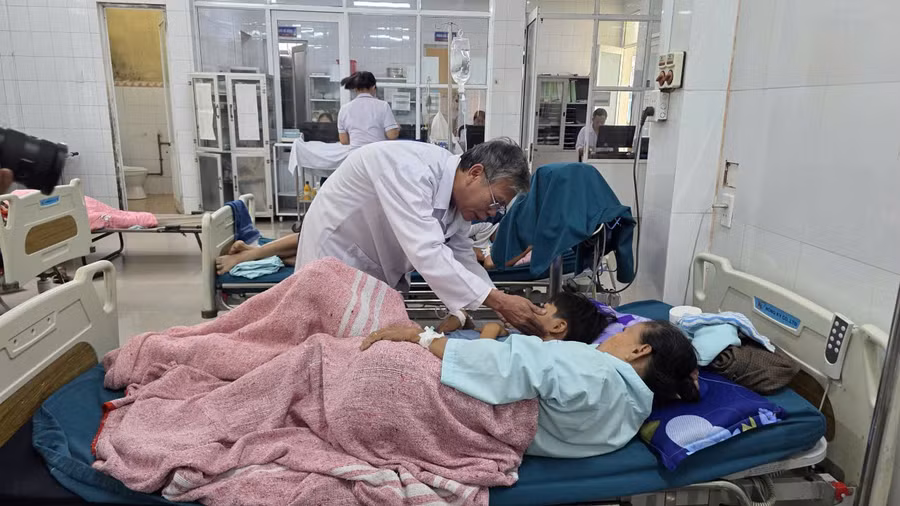 ngo-doc-2.jpg