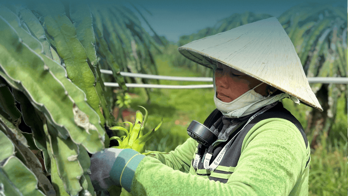 OCOP tiếp sức đặc sản phường Bình Thuận vươn xa