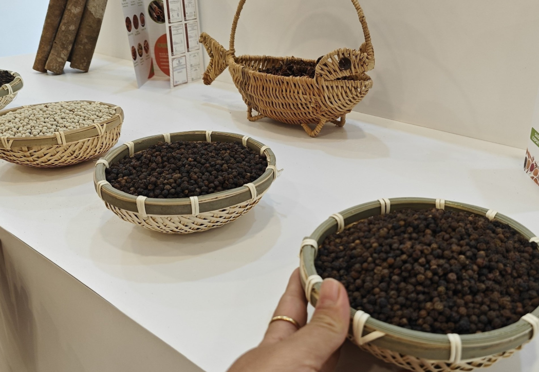 Giá nông sản hôm nay 26/10/2025: Giá cà phê bất ngờ tăng trở lại, hồ tiêu duy trì ổn định