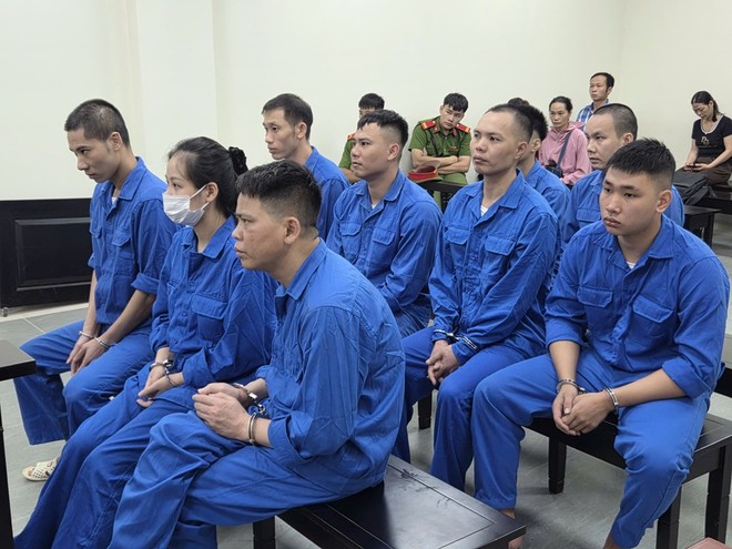 Bố con Đỗ Văn Tân (hàng trên cùng) và đồng phạm tại phiên tòa.