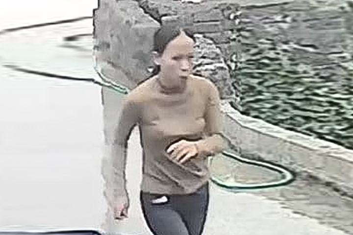 Bà Trần Thị Vân mất tích từ hôm 20/8. (Ảnh: Gia đình cung cấp)